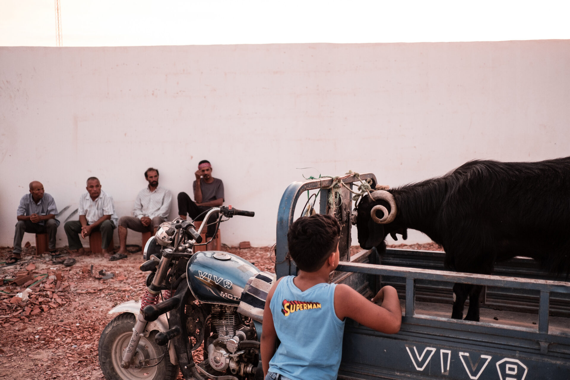 La dernière danse du Arifa. Au coeur du rituel Stambali de Tunisie