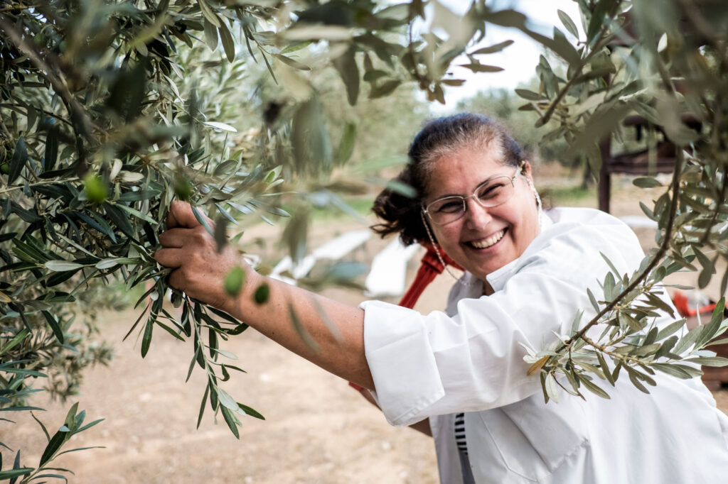 Balade autour de l’huile d’olive a Lygourio- Epidaure