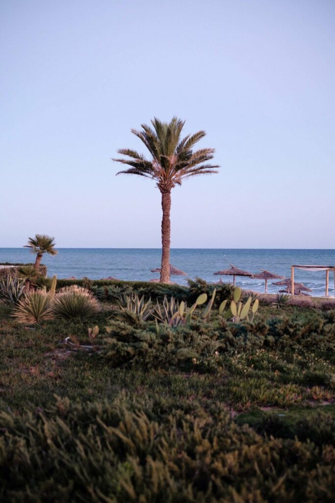 Mouna Ben Halima a La Badira - Hammamet