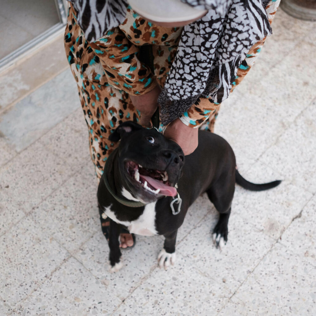 Le chien de Wael