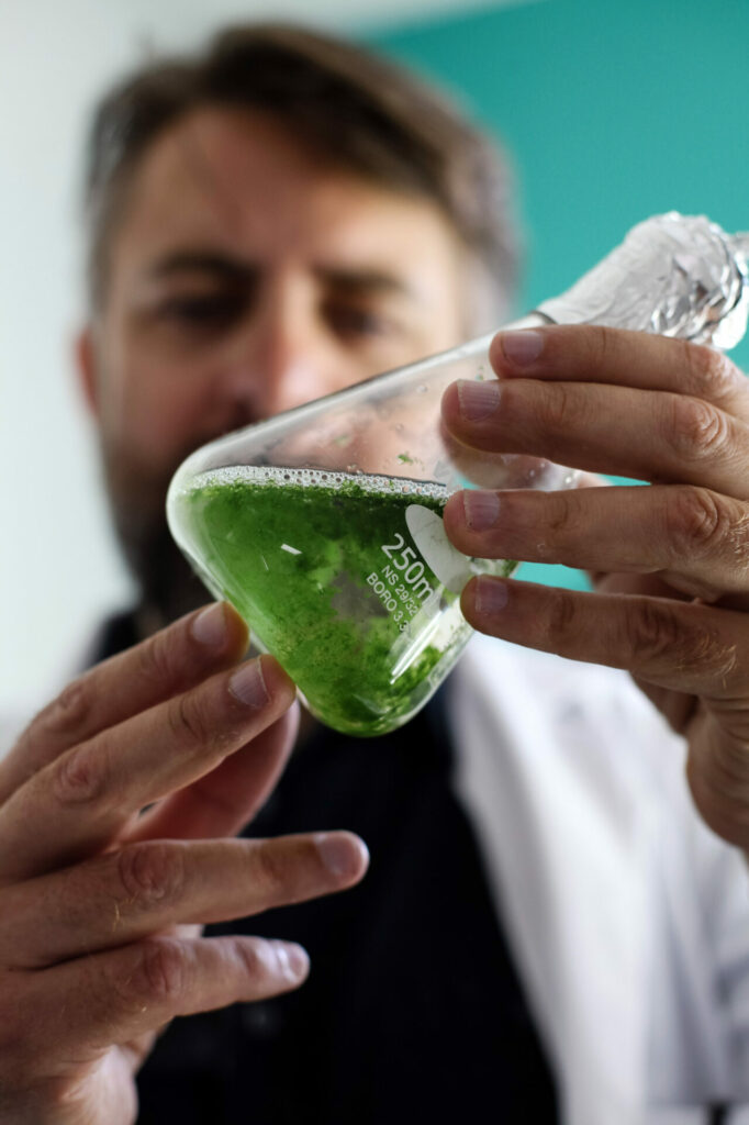 Algosolis et recherche experimentale sur les micro-algues