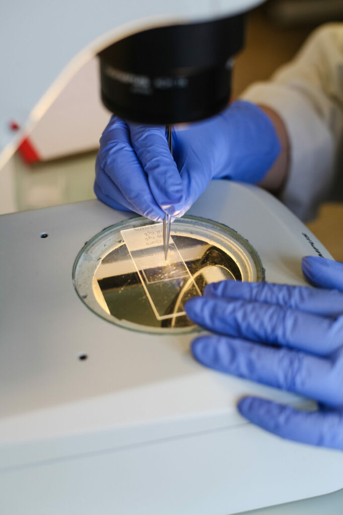 Laboratoire de l'INSERM a Nantes